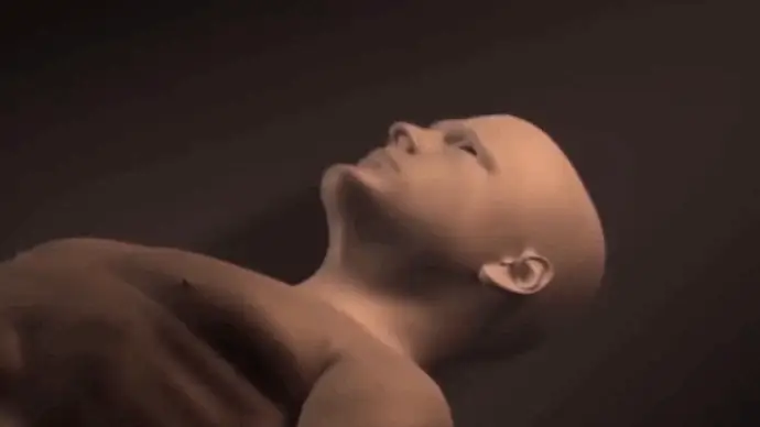 lifevac funcionamento